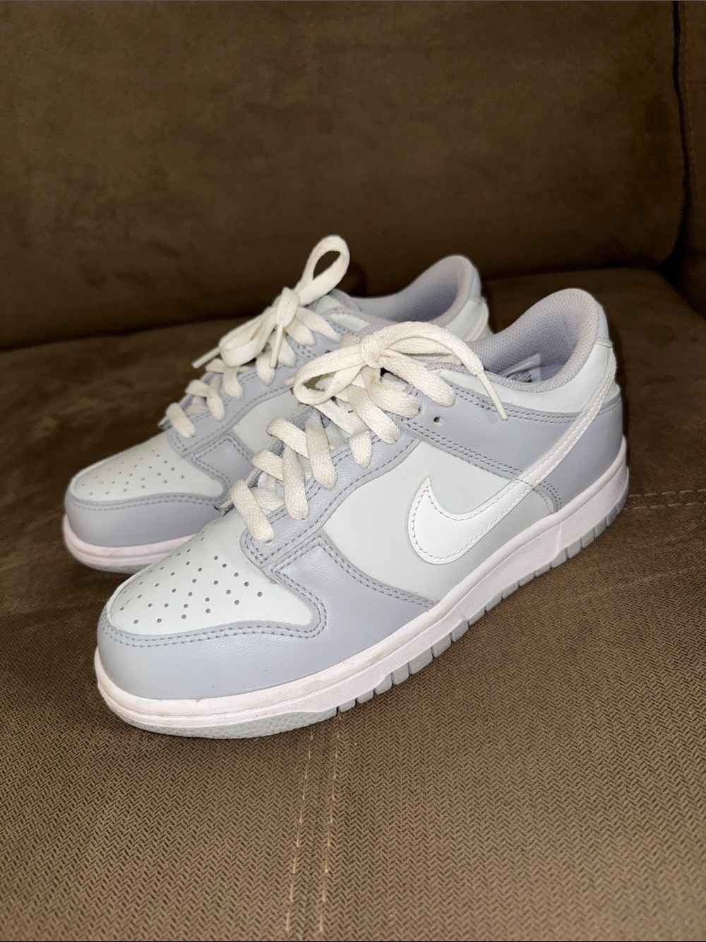 Nike Dunk Low SB sneakers shoes